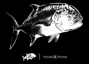 Ulua Pound X Pound